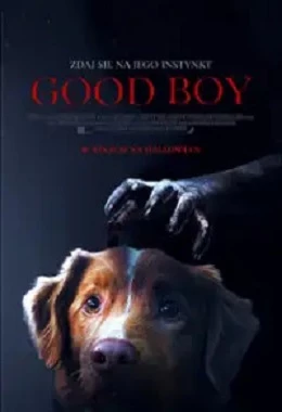 Good Boy 2D napisy